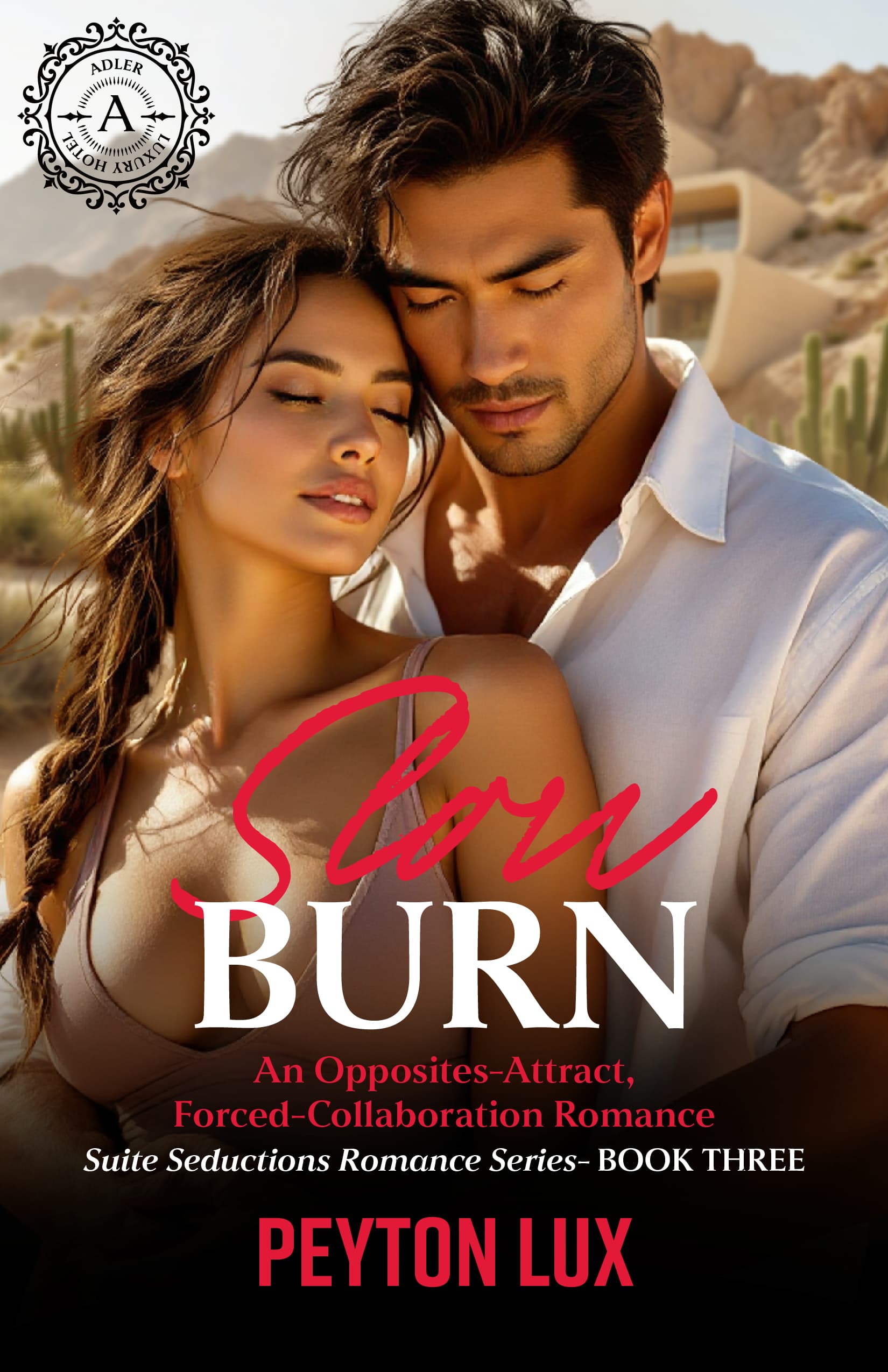 Cover of Slow Burn